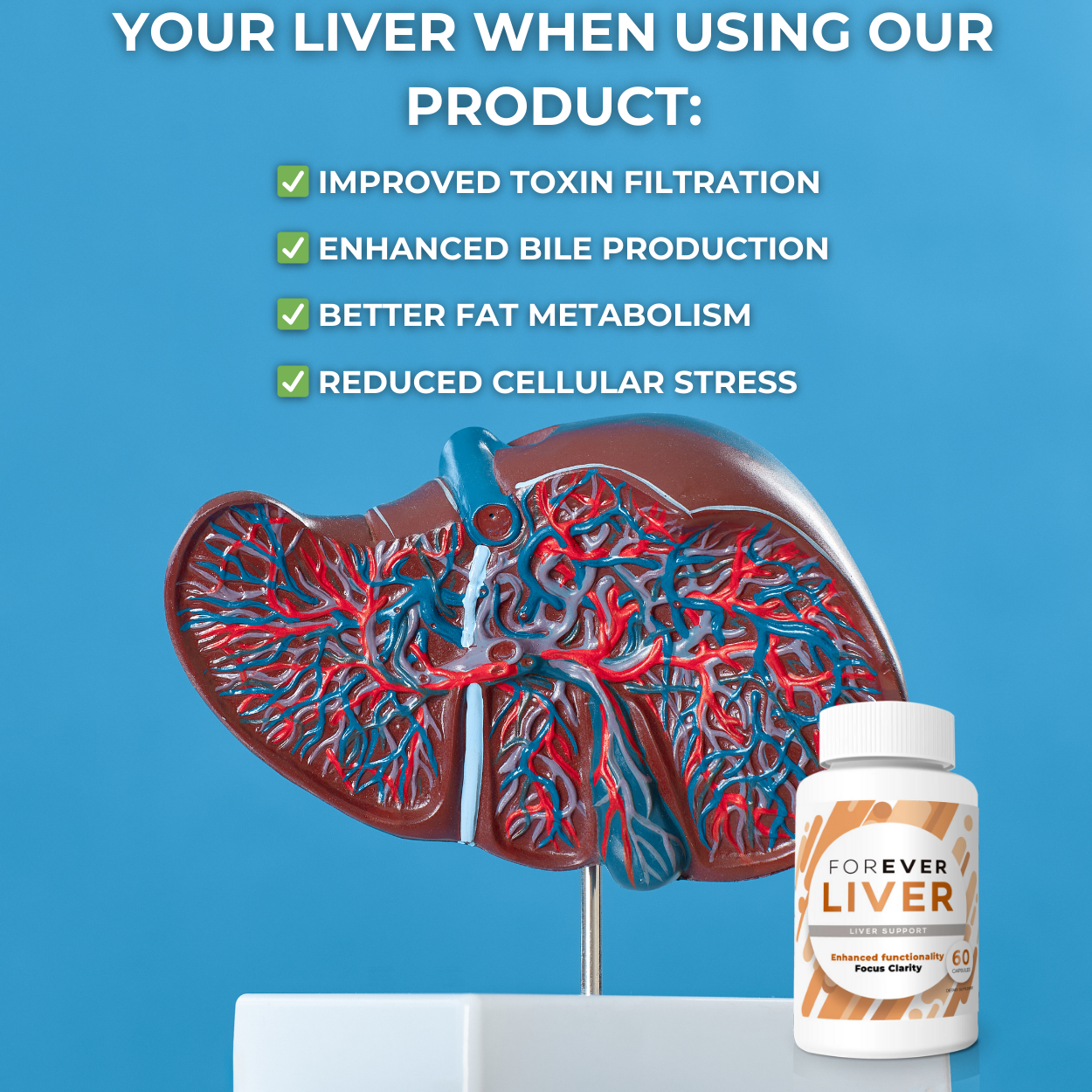 Forever Liver