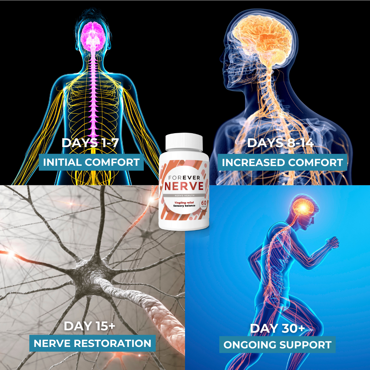 Forever Nerve