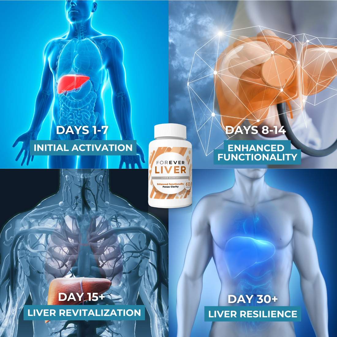 Forever Liver