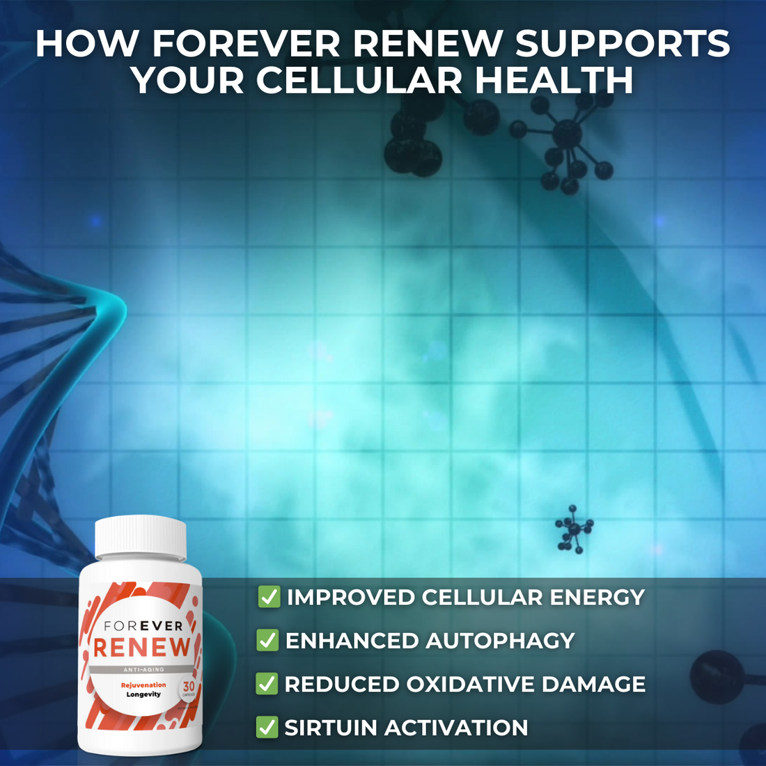 Forever Renew